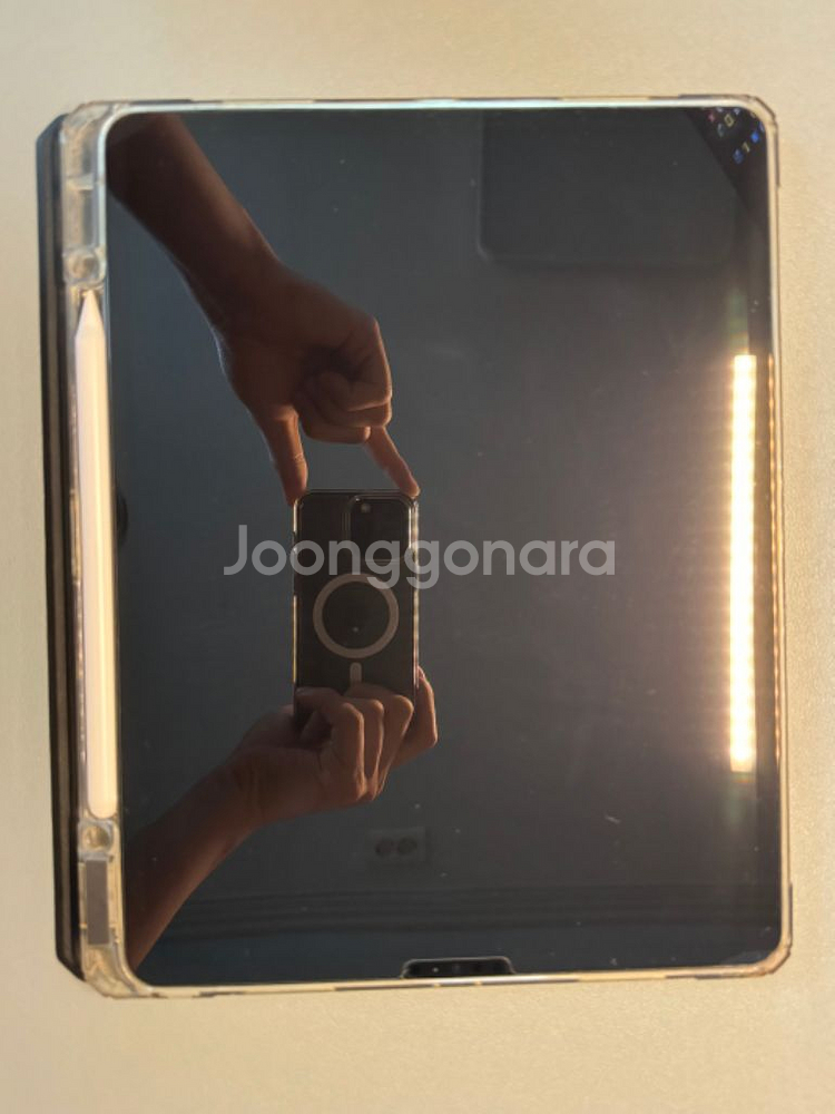 아이패드 프로5세대 12.9인치 256GB--8