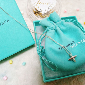 + Tiffany & co 희귀 티파니 실버 목걸이 +