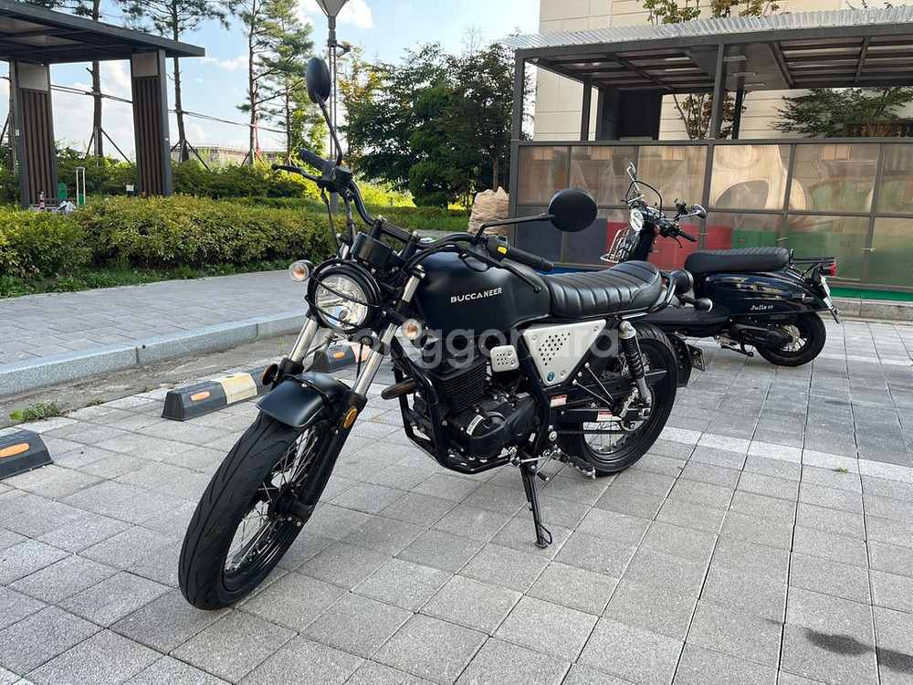 부캐너125 팔아요--3