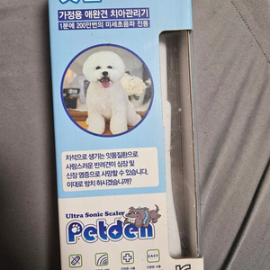 펫덴 강아지 스케일링