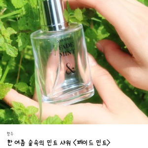 (얼리버드가) 텀블벅 향수 무드잉 페이드 민트 50ml