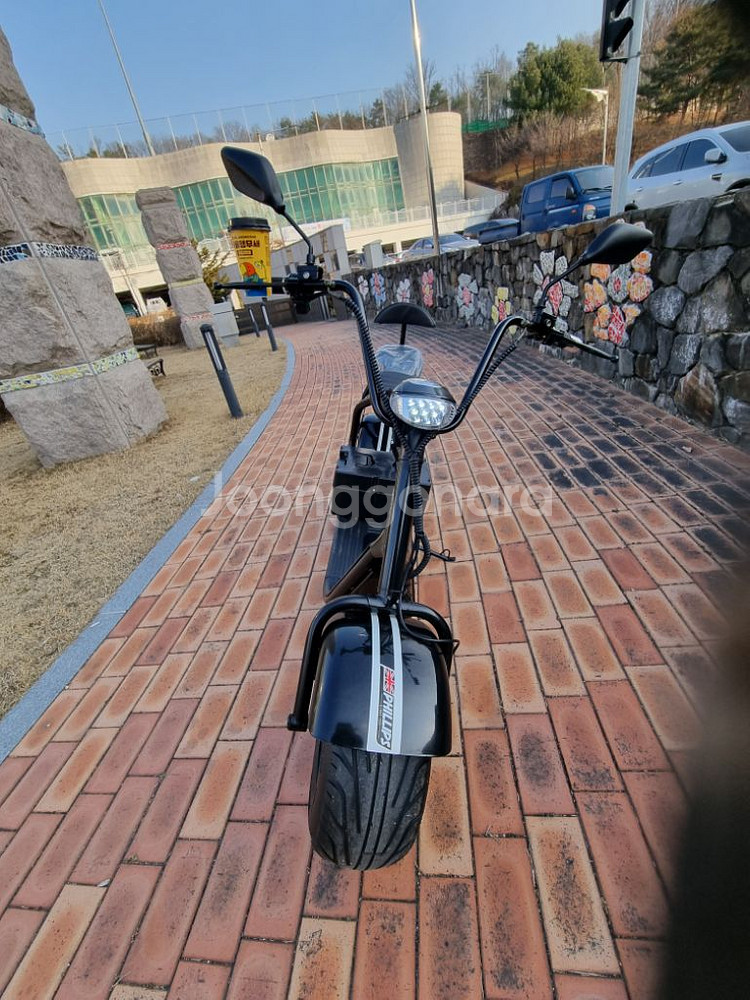 필립스 할리2인용 전기스쿠터--3
