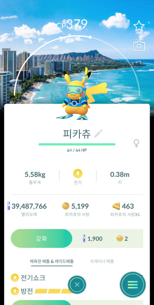 포켓몬고 가이오가 이로치, wcs 피카츄--1