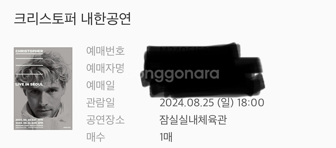 크리스토퍼 내한공연--1