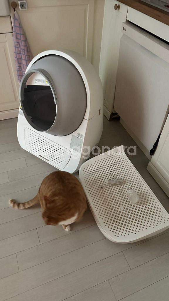 고양이 화장실 캣링크 프로--1