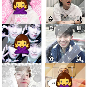 세븐틴조슈아호시우지디에잇민규도겸버논양도무송비공굿판매포카