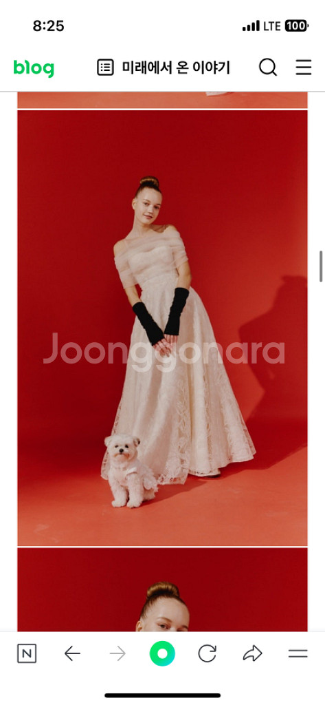 모드니 riri 드레스 (44~55)--3