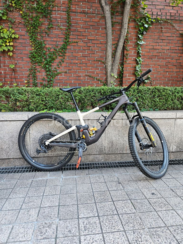 22년식 스페셜라이즈드 엔듀로 LTD S4--5