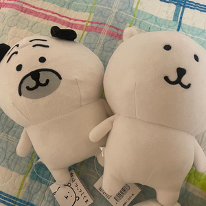 일괄)농담곰 에이노바 퍼그상 인형 일괄 세트 나가노