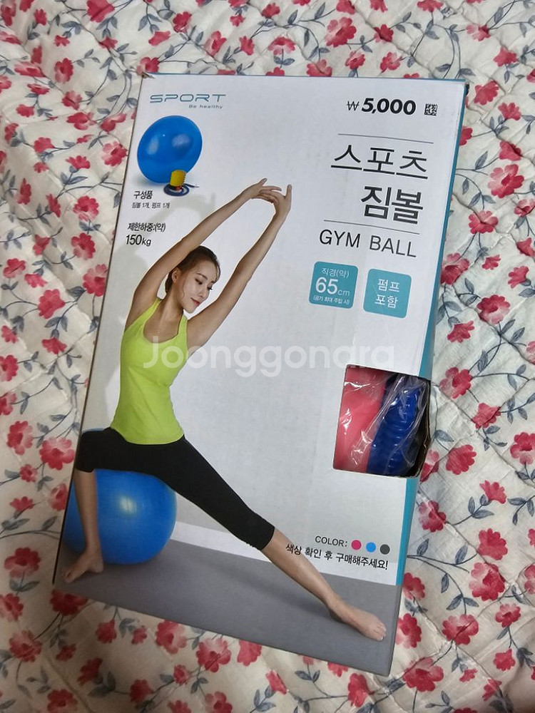 조립식슬라이드휠 운동기구/짐볼 핑크 개별가--4