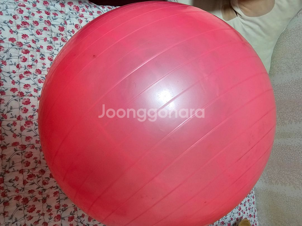 조립식슬라이드휠 운동기구/짐볼 핑크 개별가--7