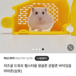 햄스터용품 팔아요 (치즈굴)