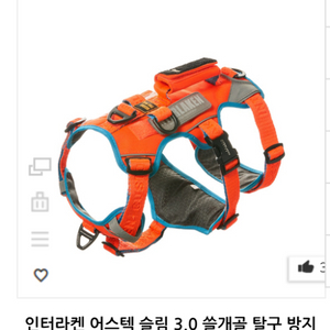 하네스 xs 인터라켄 쓸개골 탈구 방지 새상품