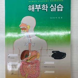 현문사 해부학실습