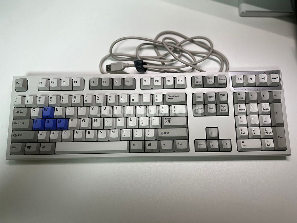 리얼포스 R2 55g 풀배열 판매--5