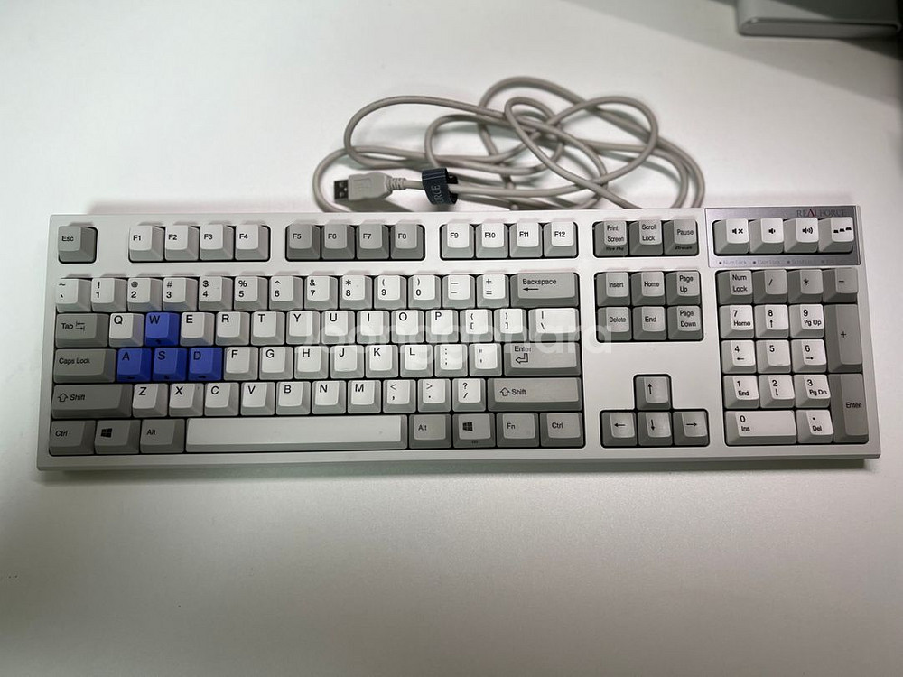 리얼포스 R2 55g 풀배열 판매--3