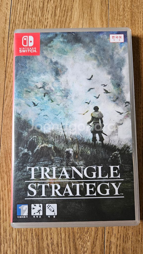 트라이앵글 스트래티지(닌텐도)--0