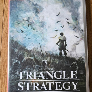 트라이앵글 스트래티지(닌텐도)