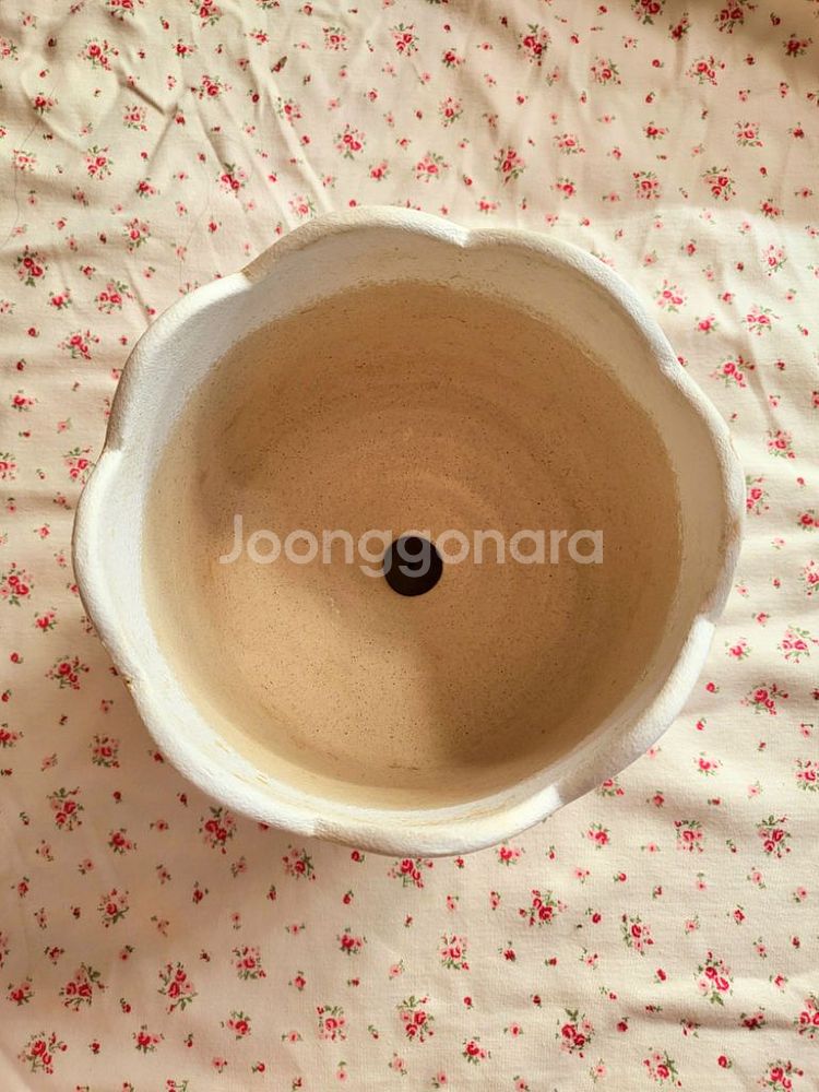 대형 낭만팟 팟 화분 토분 두갸르송 아뜨리움 어뮤즈--1