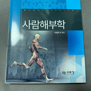 사람해부학