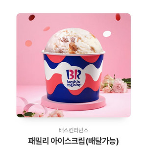 배스킨 라빈스 패밀리사이즈 판매합니다