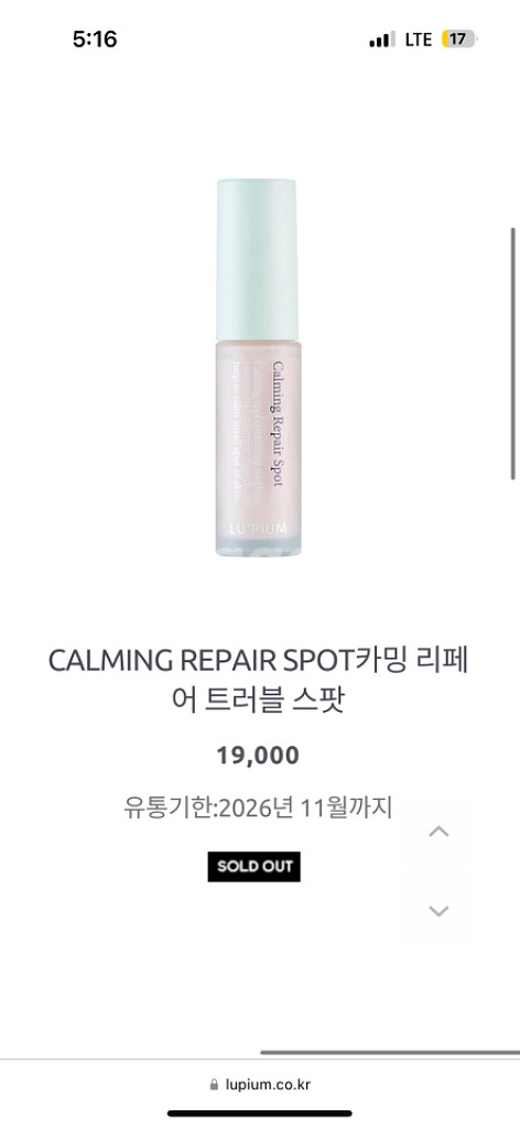 루피움 스팟--0