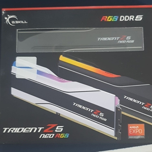 G.SKILL TRIDENT DDR5 32g 램팝니다