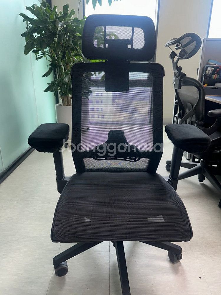 C30+ 의자--1