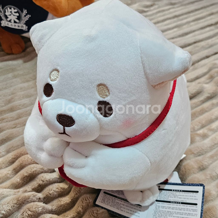 (일괄) 모찌 시바 인형--5