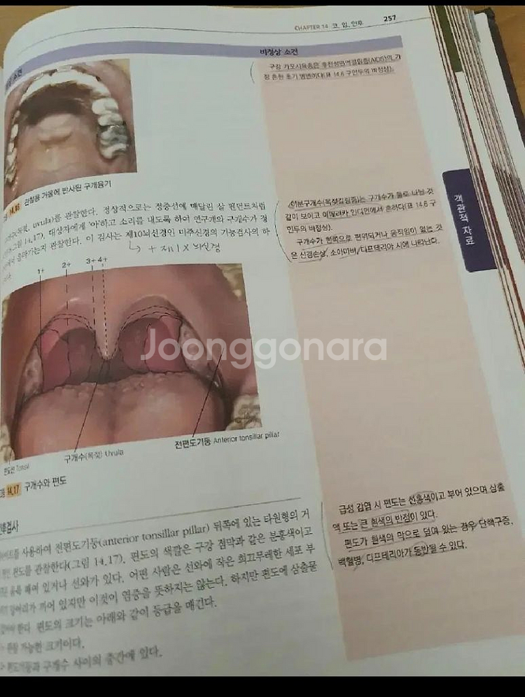 학지사메디컬 건강사정 택배비포함 간호 전공책--3
