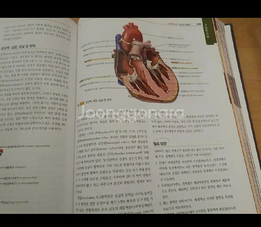 학지사메디컬 건강사정 택배비포함 간호 전공책--2