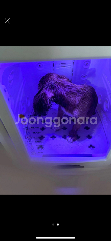 페페 펫드라이룸 DR-100--1