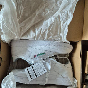 리복 클럽C 85 화이트 그린 285 새상품