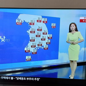 LG OLED TV 55인지 부품용