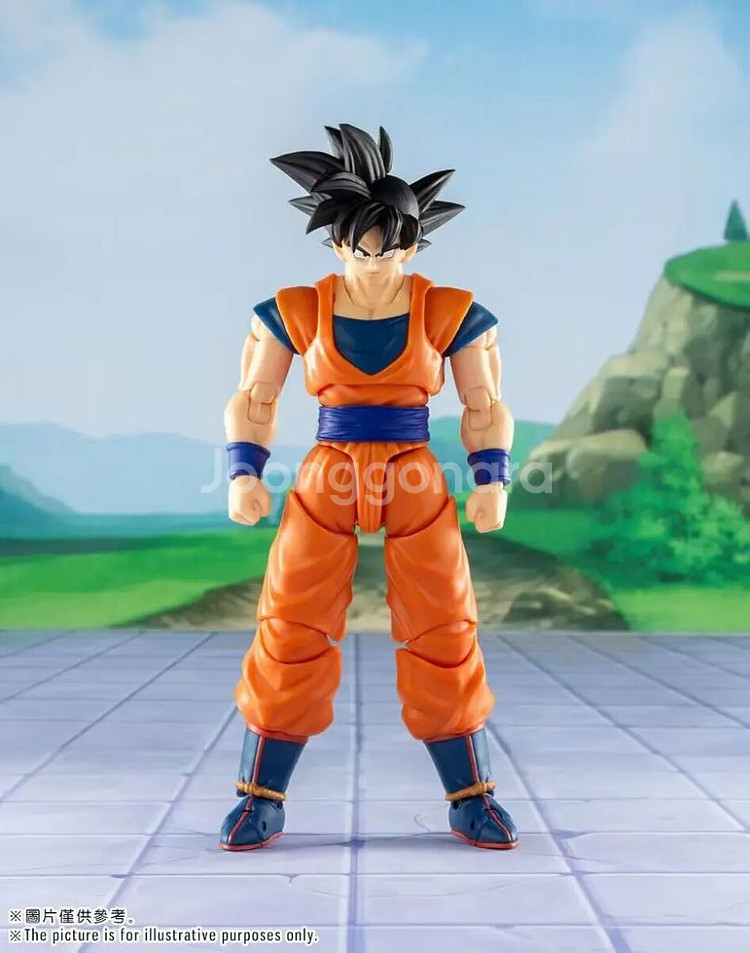 shf 손오공 데모니컬핏 삽니다--1
