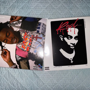 Playboi carti 플레이보이 카티 WLR, 1집