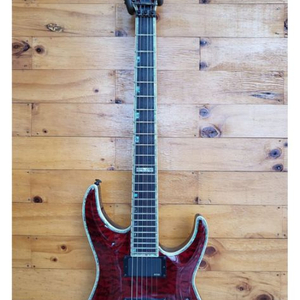 esp ltd hm1000 일렉기타