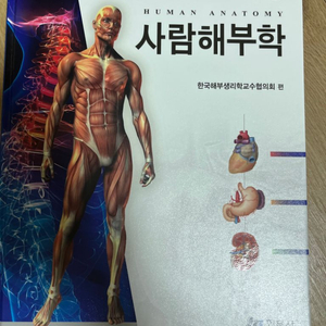 사람해부학