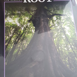 대성마이맥 생명과학 박선우 ROOT