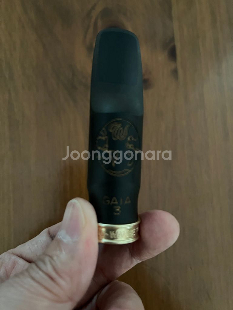 디오웨인 가이아3 알토마우스피스--5