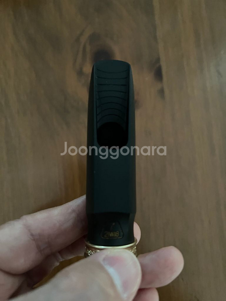 디오웨인 가이아3 알토마우스피스--6