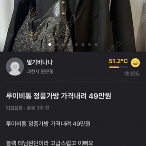 루이비통 데님가방