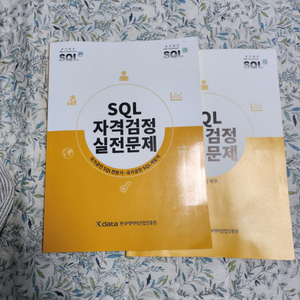 sqld 노랭이 / sqld 노랑이 팝니다.