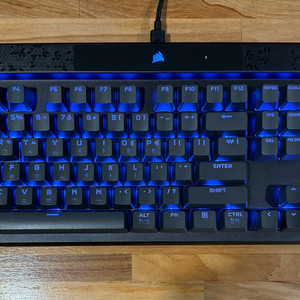 커세어 k70 max mgx