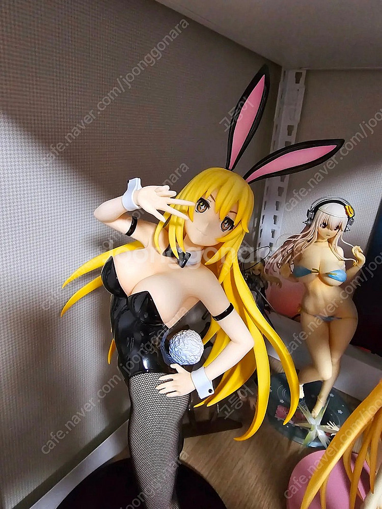 프링 쇼쿠호 미사키 바니 어떤과학의초전자포T--4