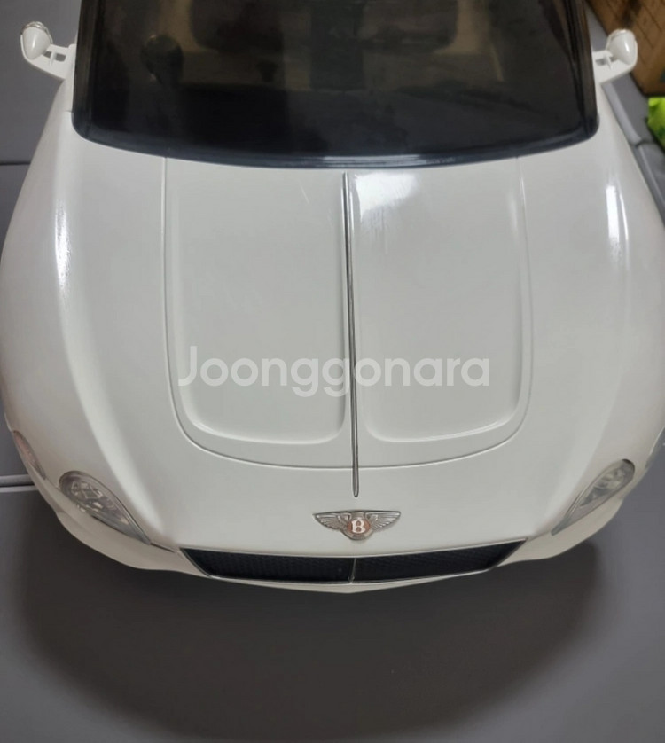 씨투엠뉴 벤틀리 전동차 전동자동차 실내보관용--1