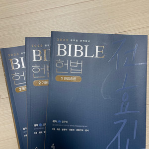 2023 전효진 BIBLE 헌법 3권