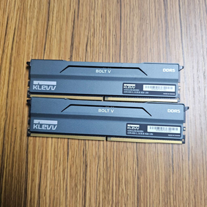 에센코어 클레브 DDR5 6000 CL30 BOLT V