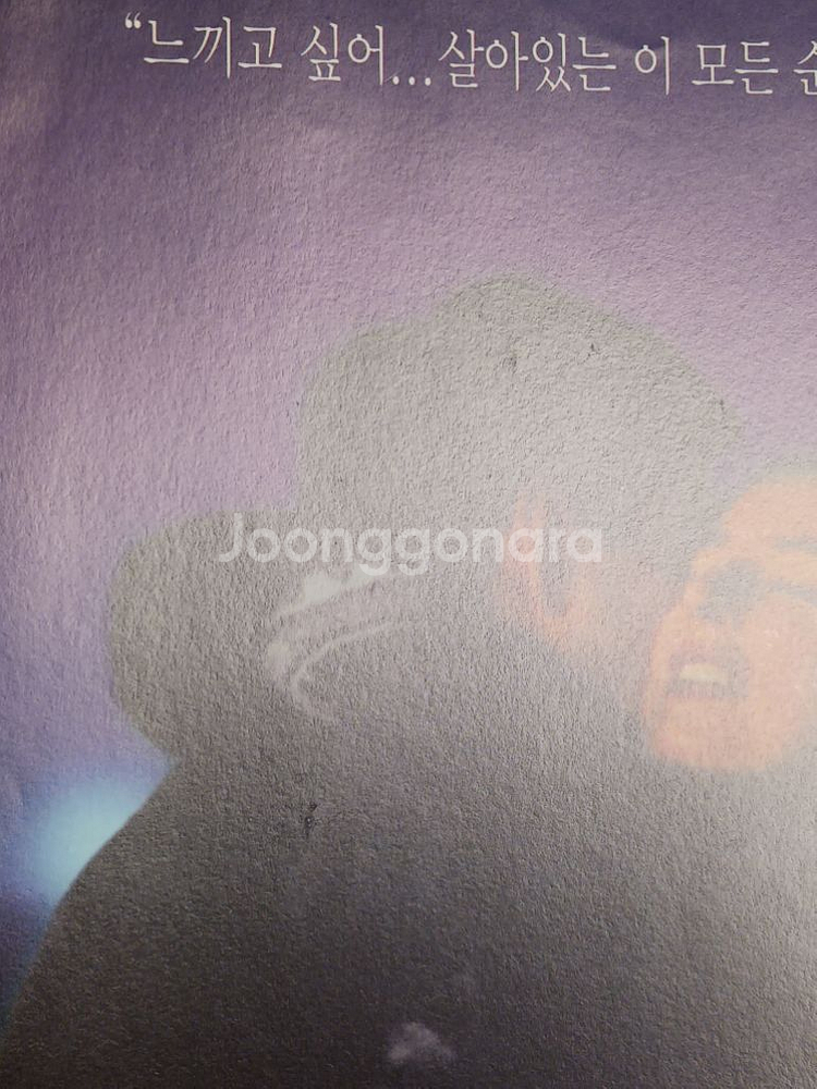 카린비아르 로랑루카스 줄리엣을위하여(2002년)--4