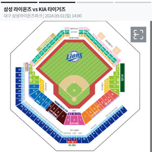 9.1 기아 삼성 2연석 원정응원석